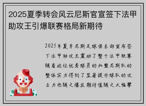 2025夏季转会风云尼斯官宣签下法甲助攻王引爆联赛格局新期待